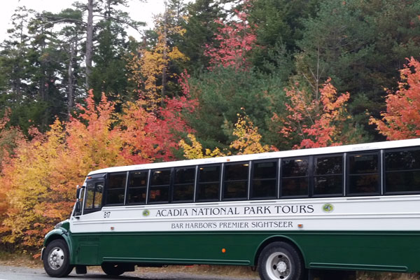 acedia national park tours home thumb