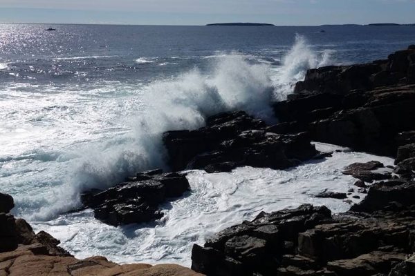 acadia national park tours our tour gallery 6