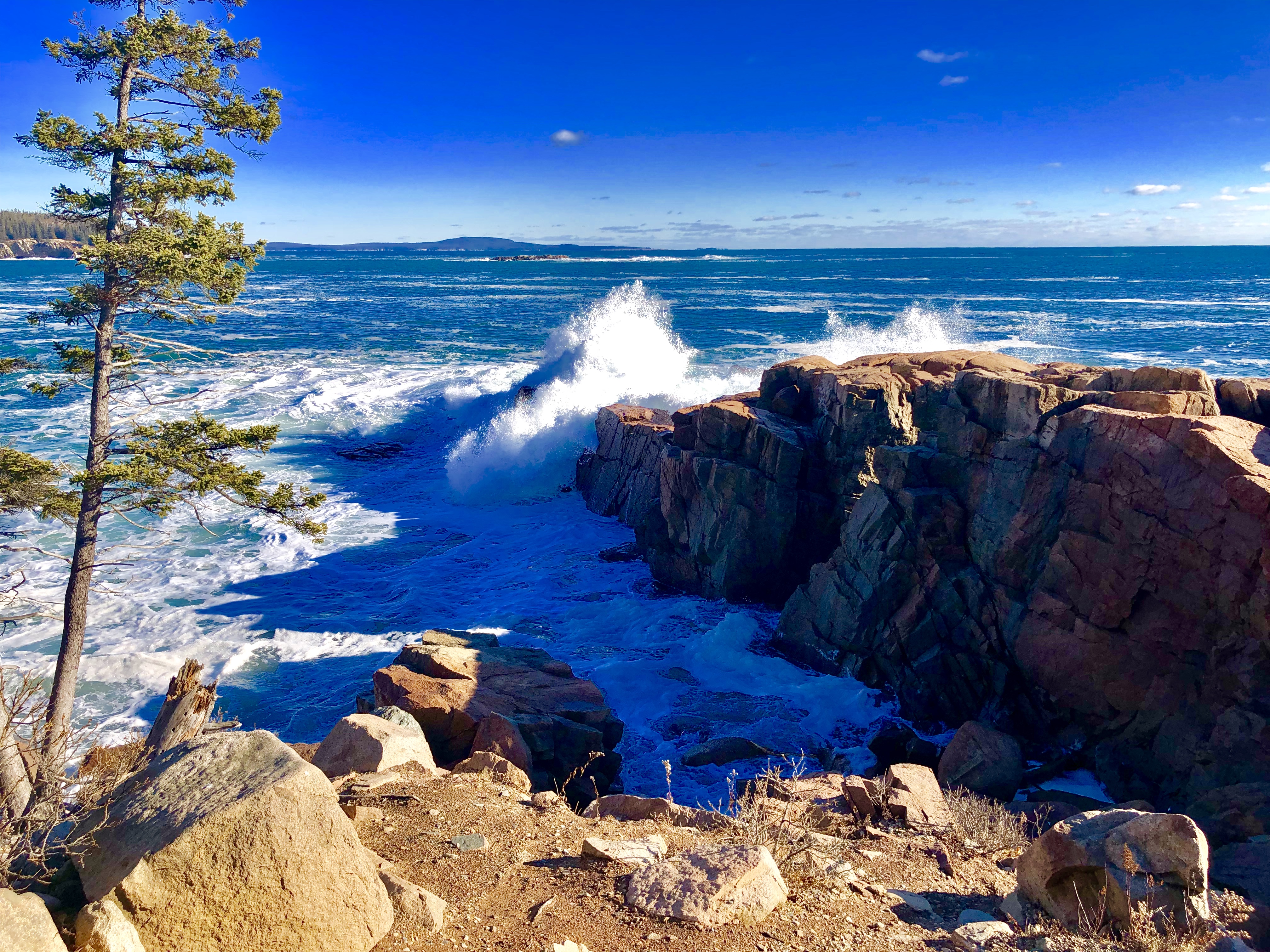 bar harbor city tours