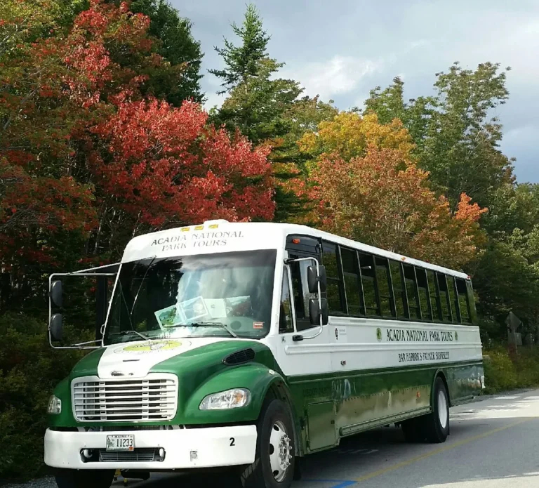 A 2010s Acadia National Park Tours coach on a park road framed by autumn foliage