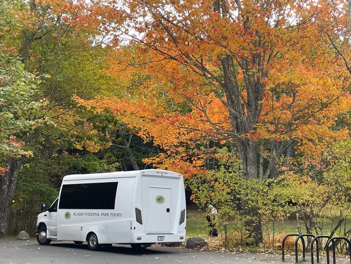 The Premium Tour coach parked beneath a maple in full autumn colour at Sieur de Monts